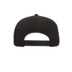 product-preview-temp_caps-510x600_back-black